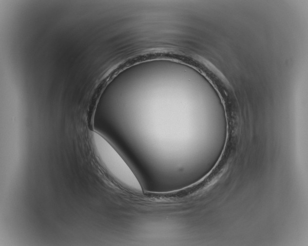 X0000113350969200909151150