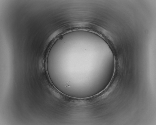 X0000113350970200909151150