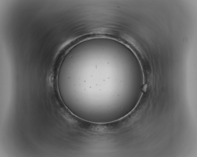 X0000113350971200909151150