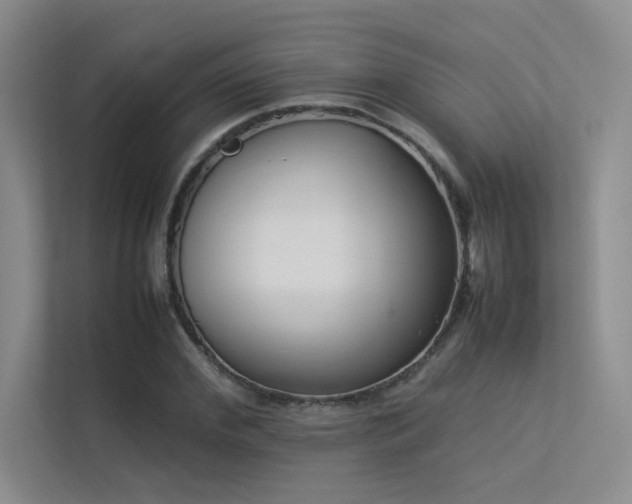 X0000113350972200909151150