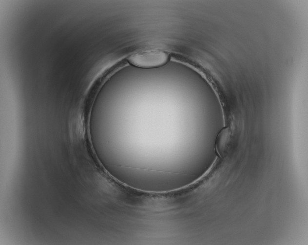 X0000113350973200909151150