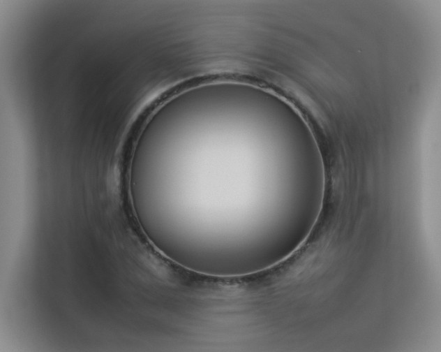 X0000113350975200909151150