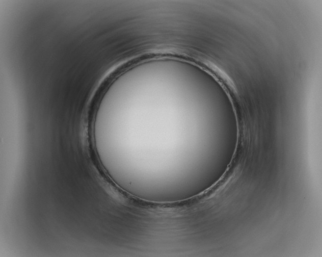 X0000113350976200909151150