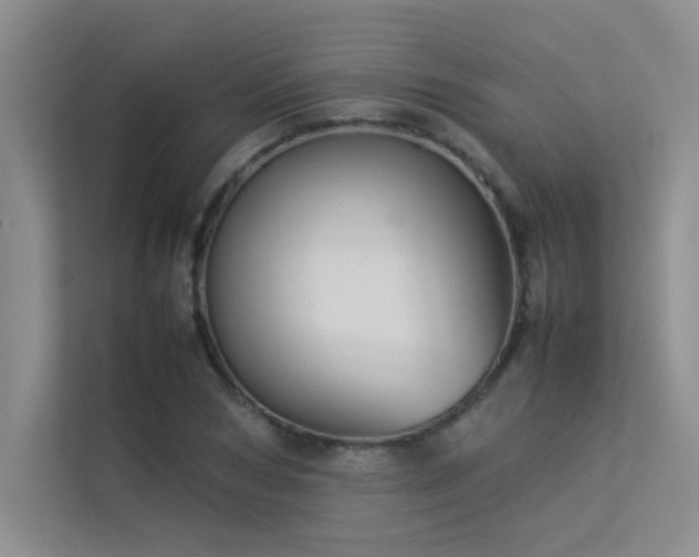 X0000113350978200909151150