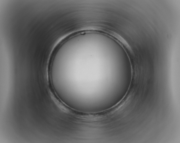 X0000113350980200909151150