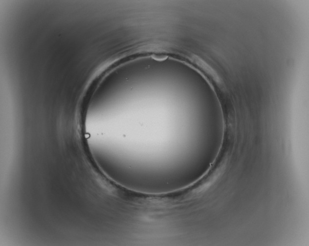 X0000113350981200909151150