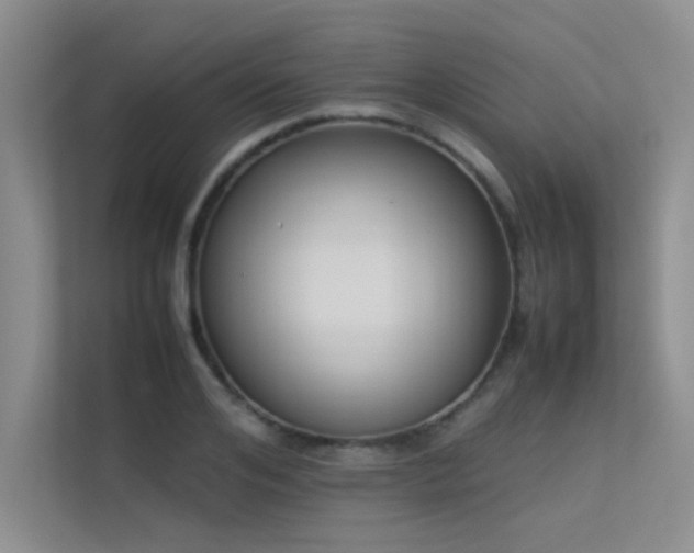 X0000113350984200909151150