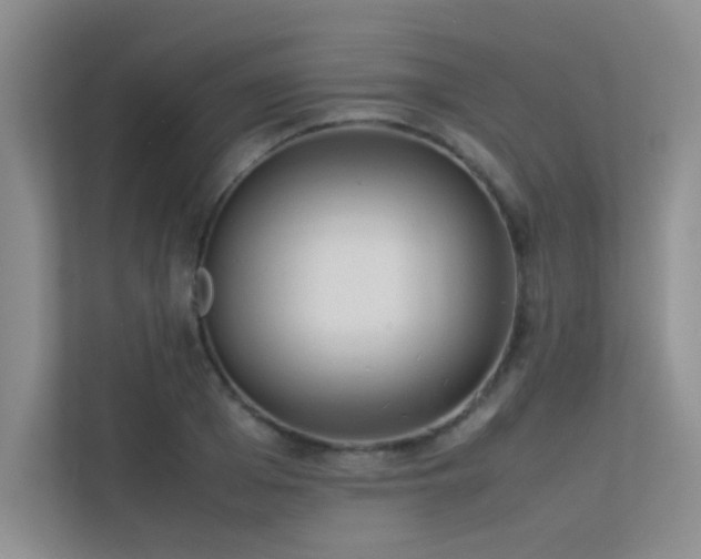 X0000113350985200909151150