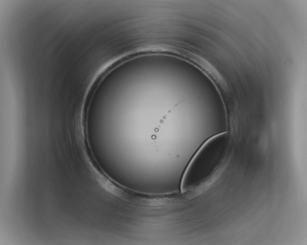 X0000113350988200909151150