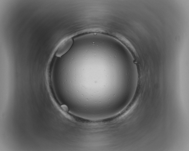 X0000113350989200909151150