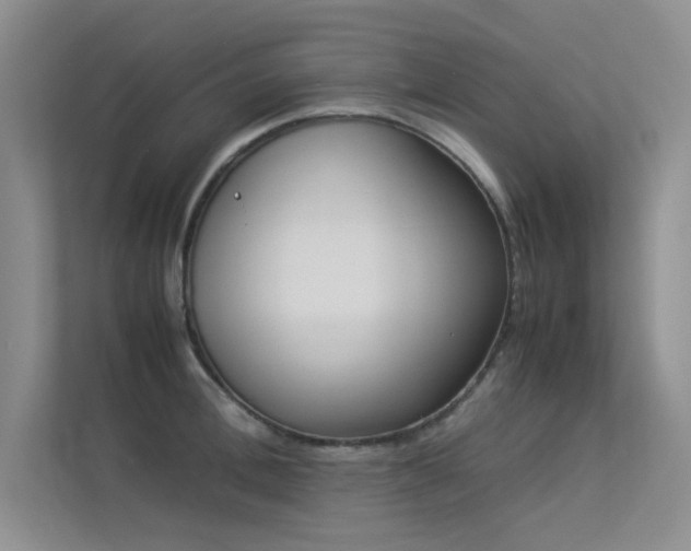 X0000113350996200909151150