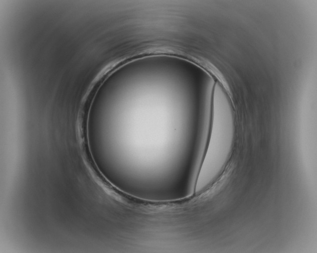 X0000113350997200909151150