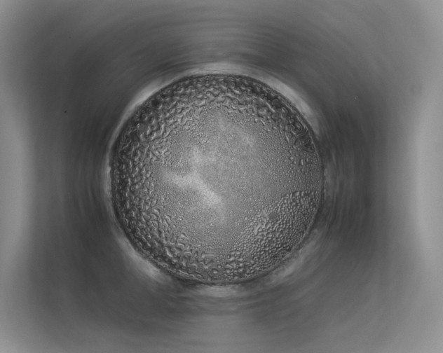 X0000113350998200909151150