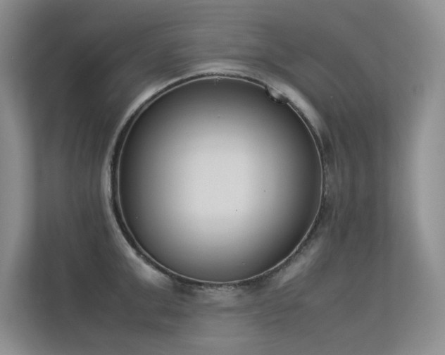 X0000113350999200909151150