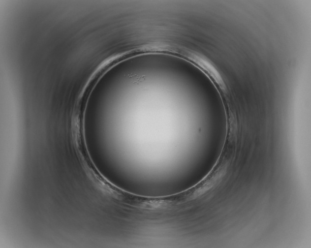 X0000113351000200909151150