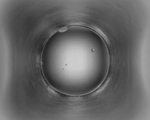 X0000113351001200909151150