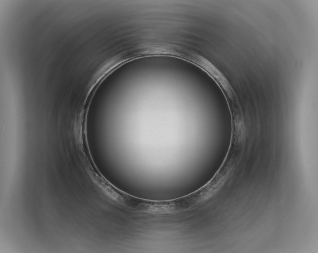 X0000113351002200909151150