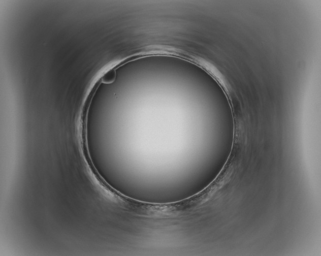 X0000113351003200909151150