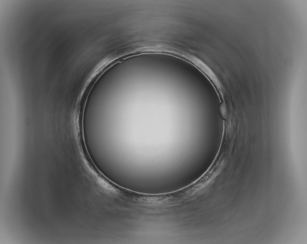 X0000113351005200909151150