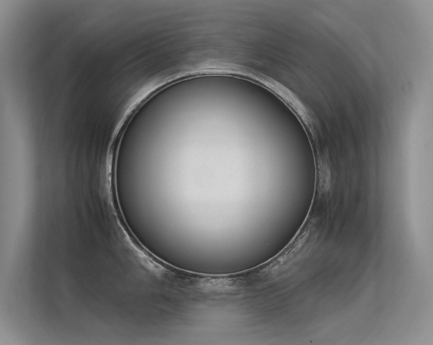 X0000113351006200909151150