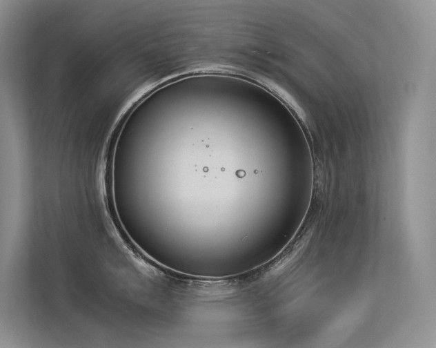X0000113351007200909151150