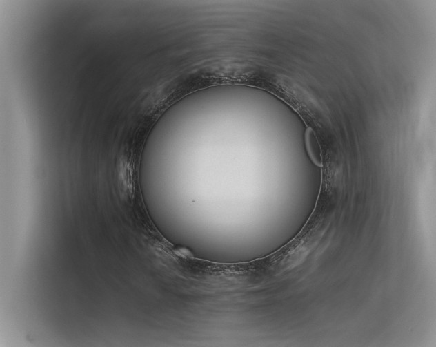 X0000113351010200909151149
