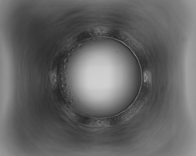 X0000113351011200909151149