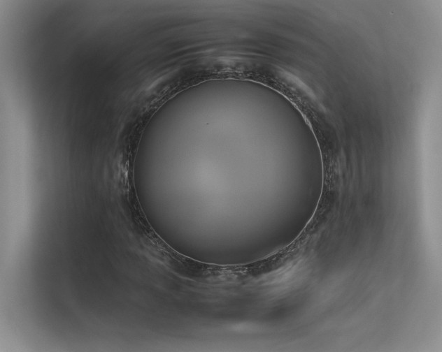 X0000113351013200909151149