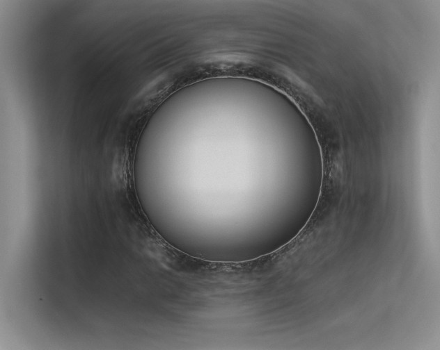 X0000113351014200909151149