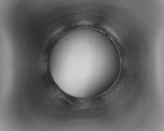 X0000113351015200909151149