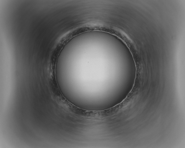 X0000113351016200909151149