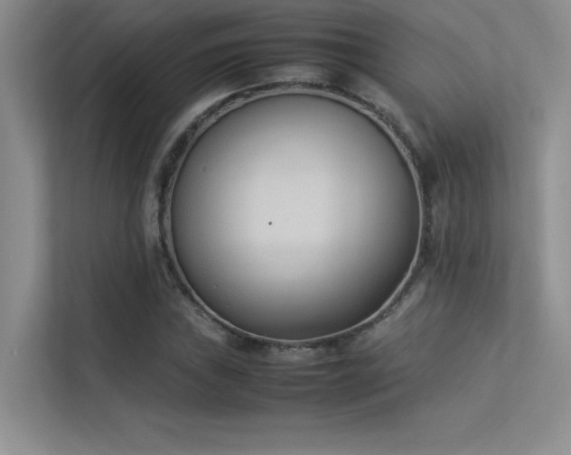 X0000113351019200909151149