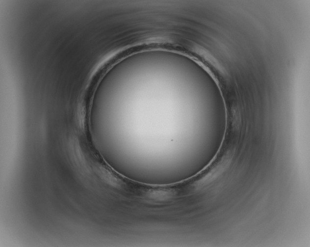 X0000113351021200909151149