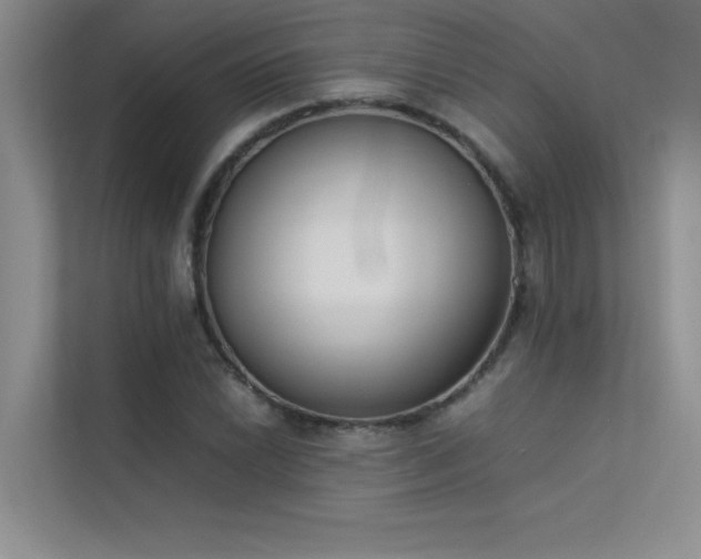 X0000113351022200909151149