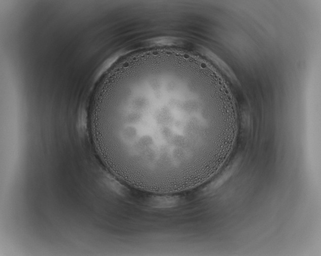 X0000113351023200909151149