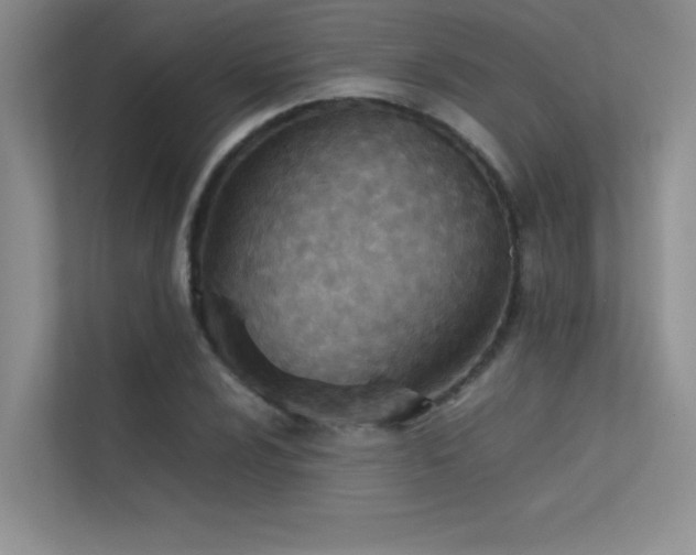 X0000113351024200909151149