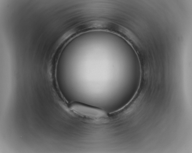 X0000113351026200909151149