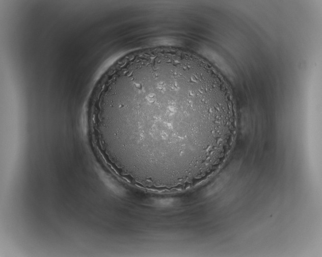 X0000113351031200909151149