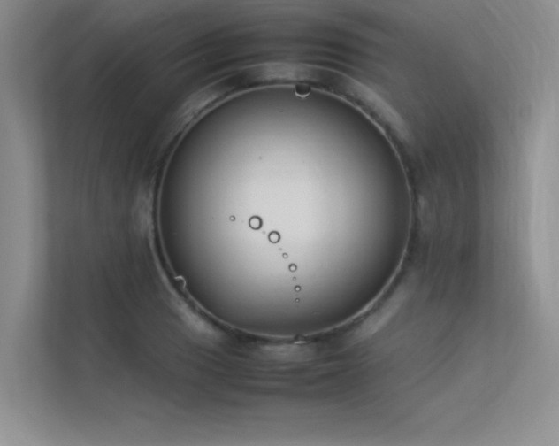 X0000113351033200909151149