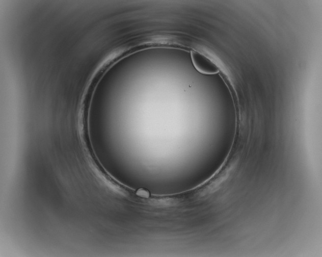 X0000113351045200909151149