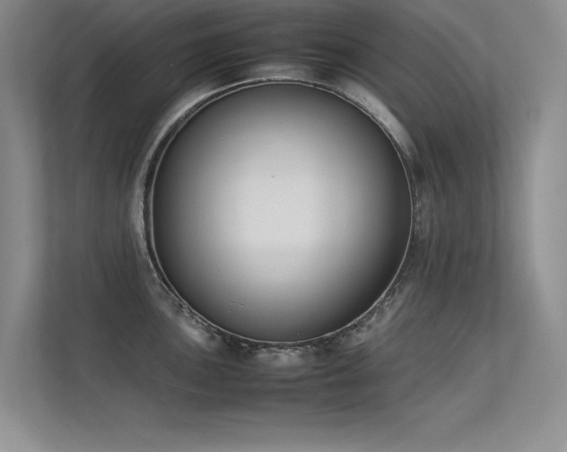 X0000113351051200909151150