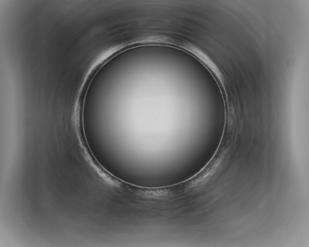 X0000113351053200909151150
