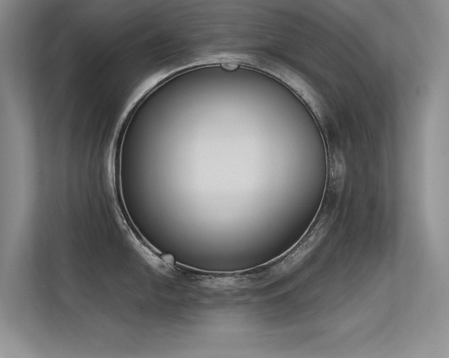 X0000113351054200909151150