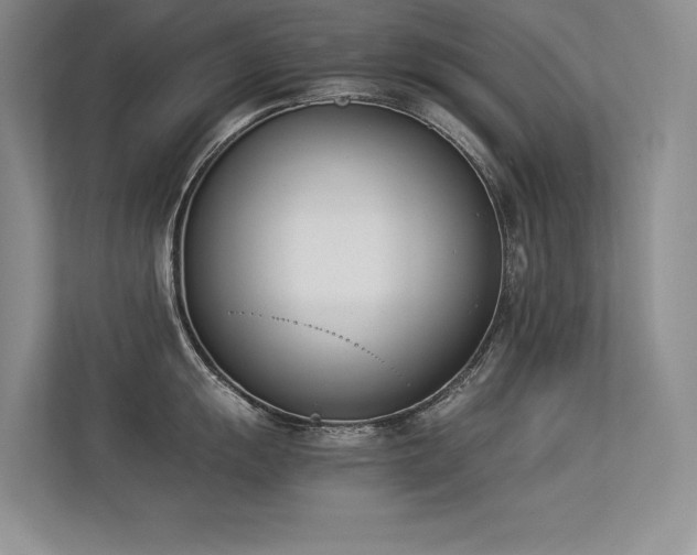 X0000113351055200909151150