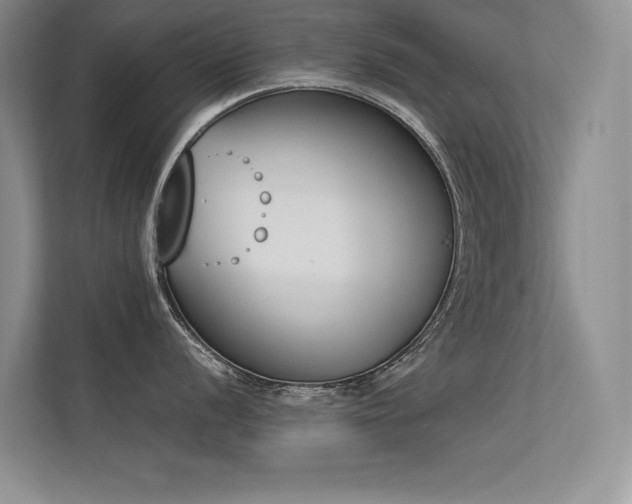 X0000113351056200909151150