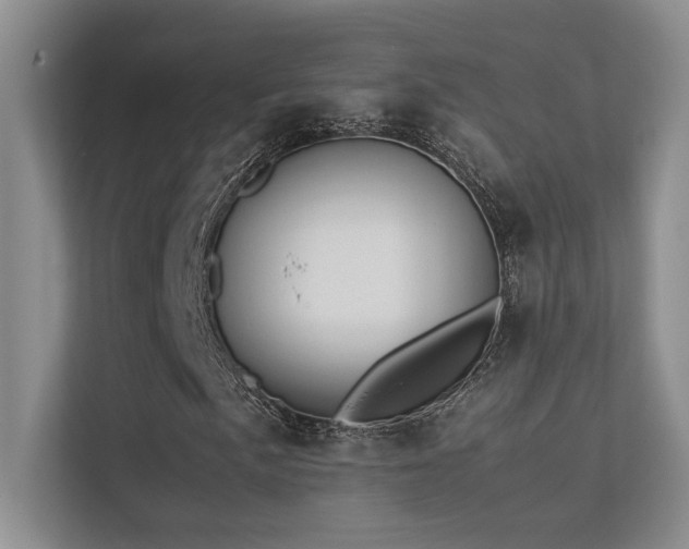 X0000113351057200909151149