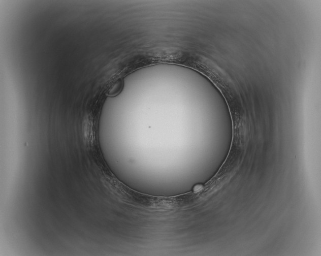 X0000113351058200909151149