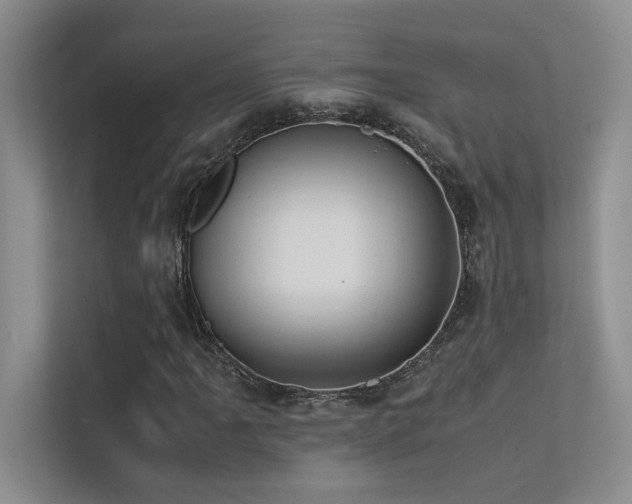 X0000113351061200909151149