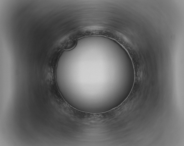 X0000113351062200909151149