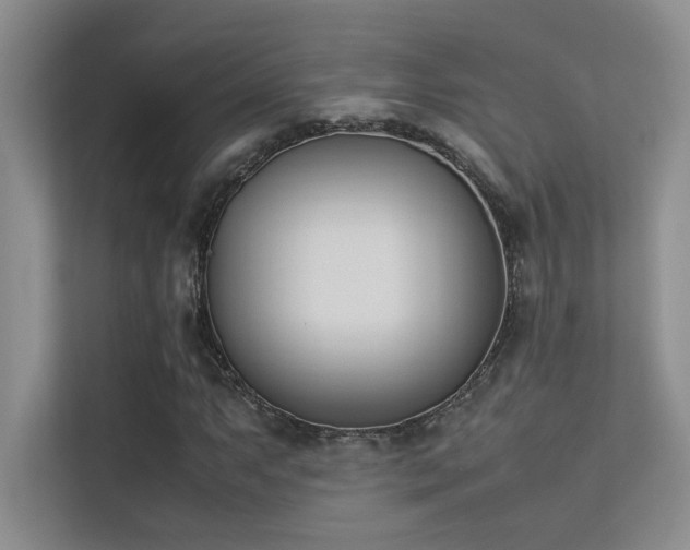 X0000113351063200909151149
